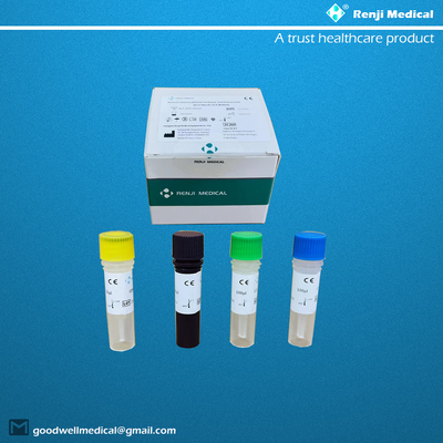 Nieuw Coronavirus COVID-19 Nucleïnezuurtestkit CE Kwalitatieve Rt Pcr-test
