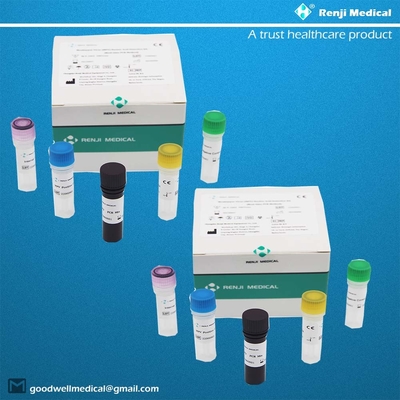 Monkeypox Virus (MPV) nucleïnezuurdetectiekit Snelle test thuiskit Realtime PCR-kit
