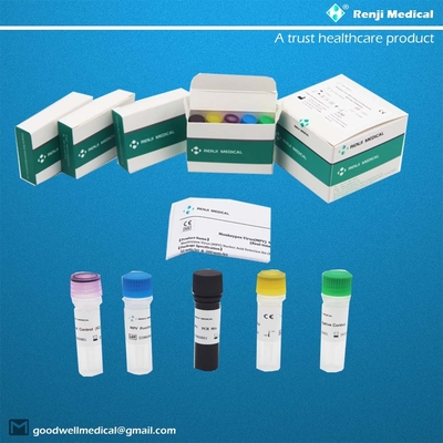 Monkeypox Virus (MPV) nucleïnezuurdetectiekit Snelle test thuiskit Realtime PCR-kit