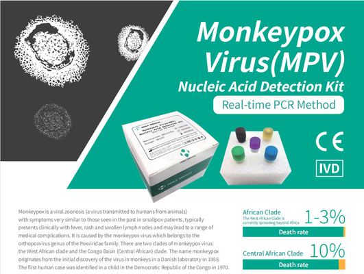 Monkeypox Virus (MPV) nucleïnezuurdetectiekit Snelle test thuiskit Realtime PCR-kit