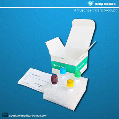 Nasopharyngeal Nucleic Zuur Testende Uitrusting, ISO13485 Sars Cov 2 Pcr Testuitrusting