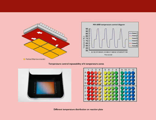 De Machine van Nucleic Zuurextractie van MSDS, Kwantitatieve PCR van MA6000 Machine In real time