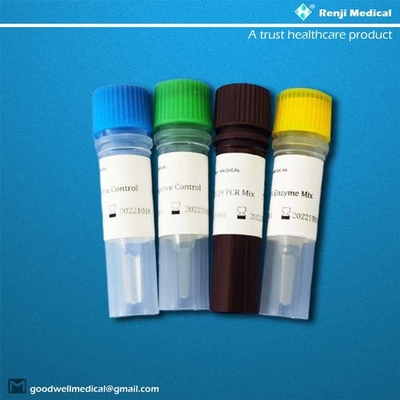 doctorandus in de letterensds gediplomeerd Nucleic Zuur die Kit Polymerase Chain Reaction-PCR testen