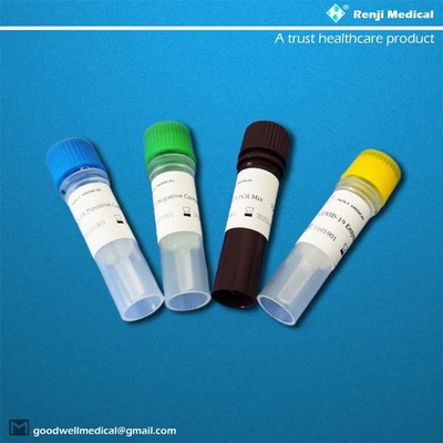 doctorandus in de letterensds gediplomeerd Nucleic Zuur die Kit Polymerase Chain Reaction-PCR testen